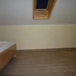 格尔吉克住宿加早餐旅馆 招待所 Novigrad Istria